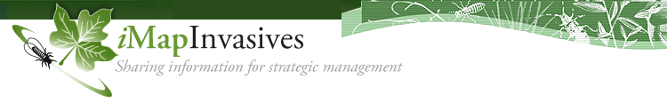 iMapInvasives Banner: Sharing information for strategic management